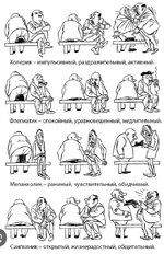 темперамент.jpg